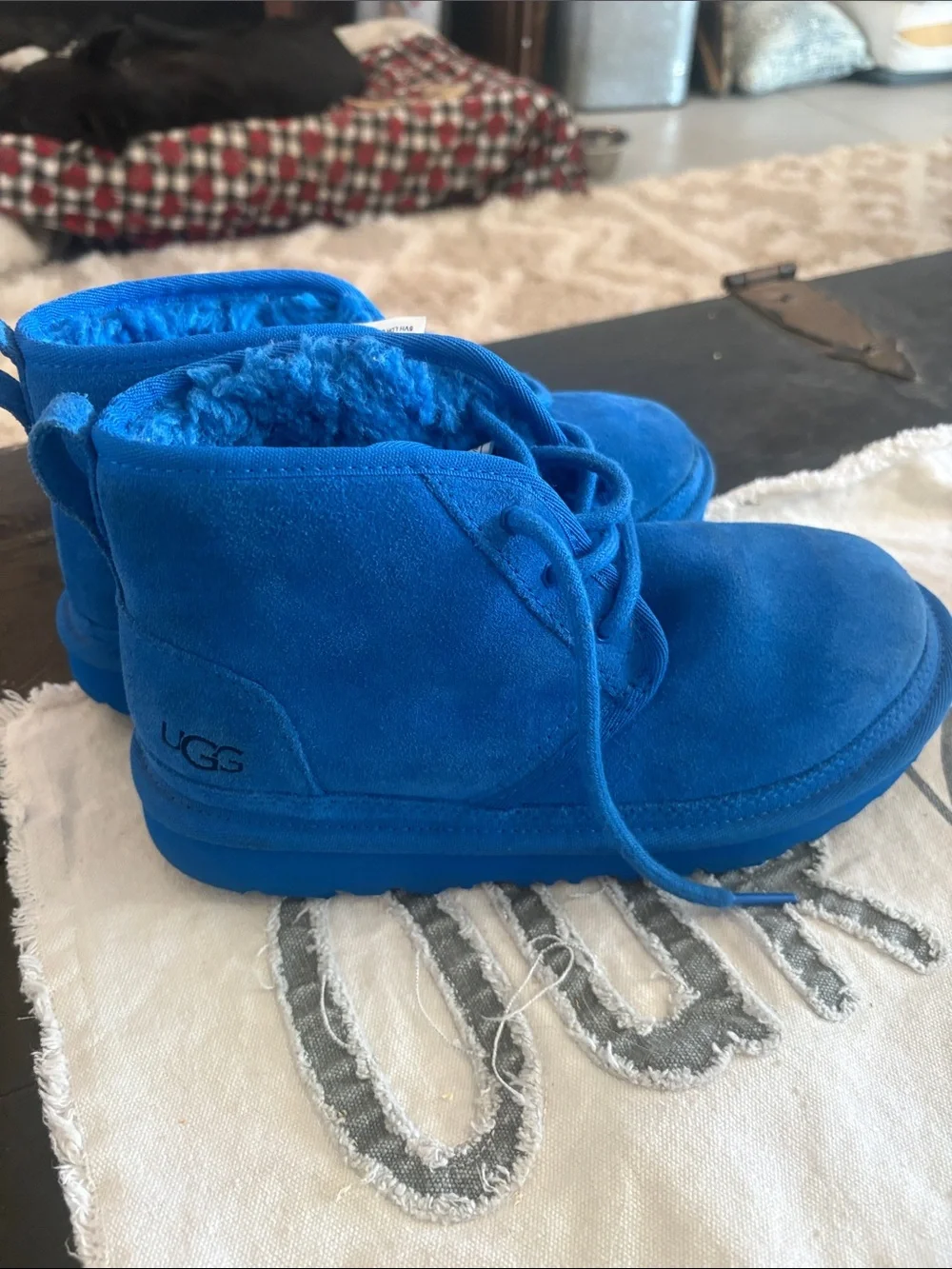 UGG Kids Bright Blue Suede Lace-Up Boots